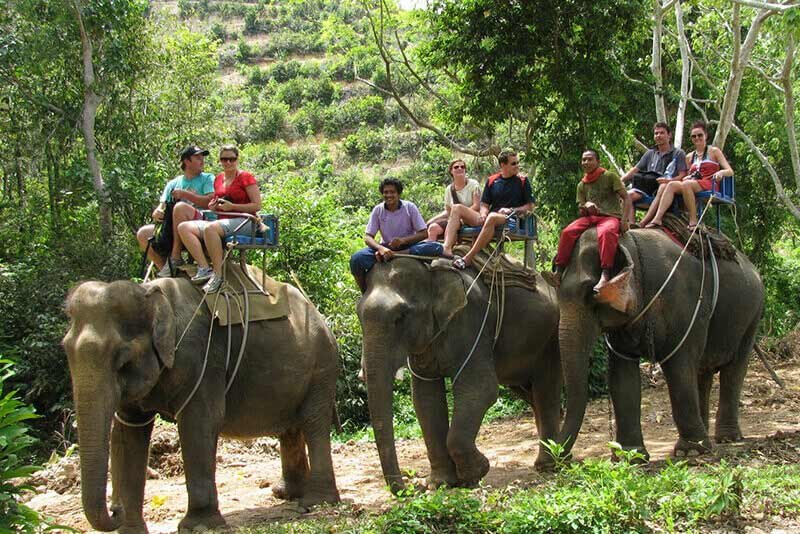 Elephant Safari Jim Corbett